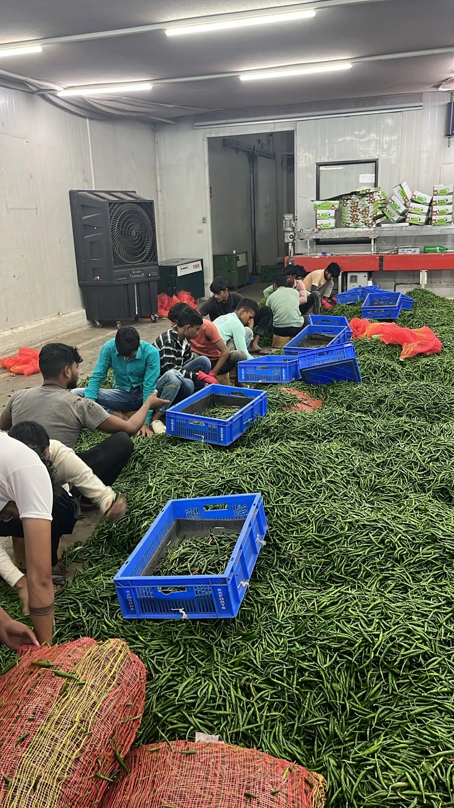 Quality Processing